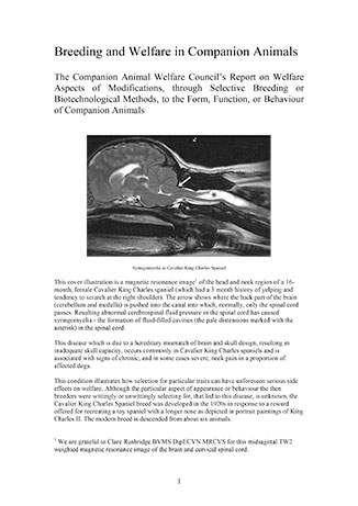 Breeding and Welfare in Companion Animals CAWC Report Cover