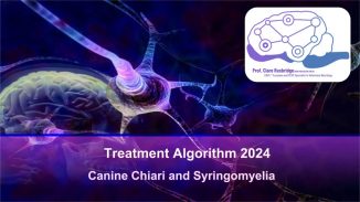 Professor Clare Rusbridge's CM/SM Treatment Algorithm Plan 2024