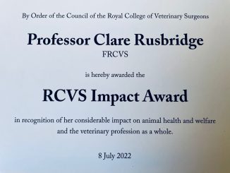RCVS Impact Award Professor Clare Rusbridge