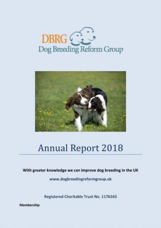 DBRG Annual Report 2018