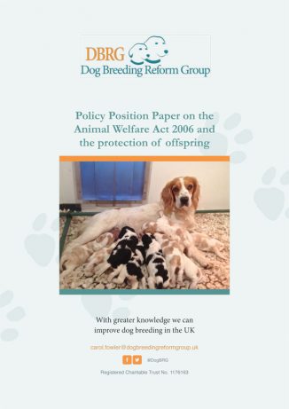 The Animal Welfare Act and the Protection of Offspring DBRG Report