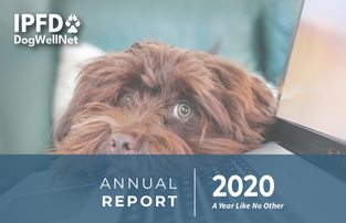 IPFD Annual Report 2020