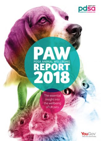 PDSA PAW Report 2018