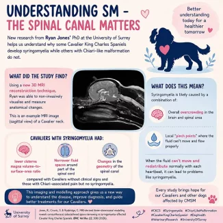Understanding SM Infographic