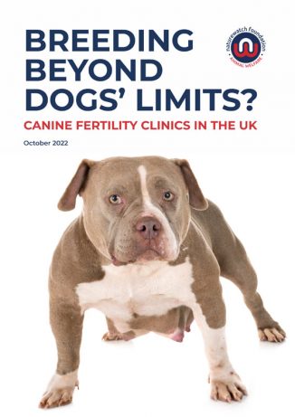 Canine Fertility Clinics UK