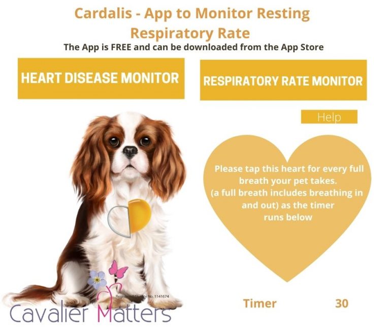 MVD Respiratory App Cardalis Cavalier Matters