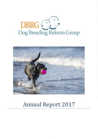 DBRG Annual Report 2017