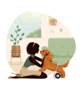Wheels for Disabled Dogs
