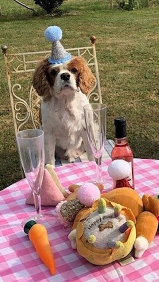Dougall's Birthday Party
