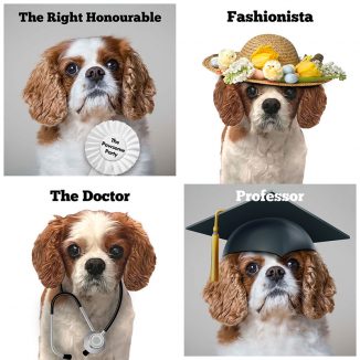 Dougall's Many Hats