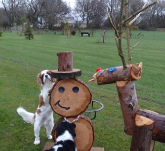 Dougall & Wooden Creatures