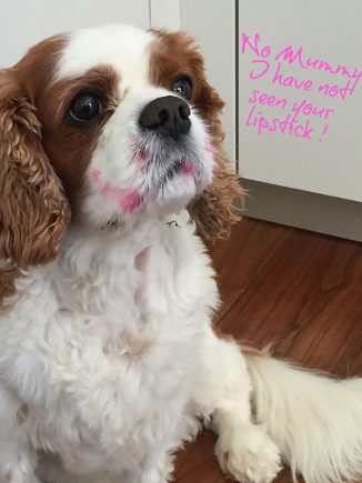 Dougall & The Lipstick