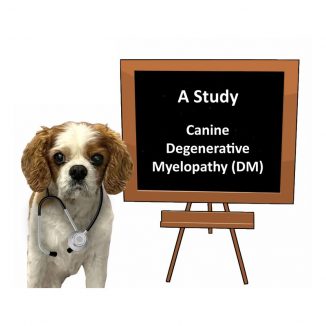 Degenerative Myelopathy (DM) Study
