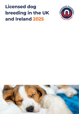 Licensed Dog Breeding in the UK and Ireland 2025 Report Cover